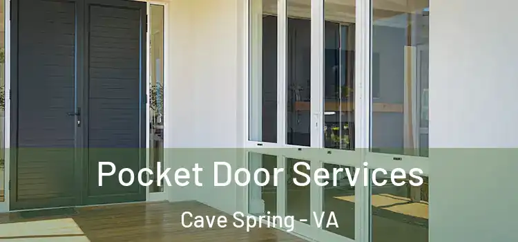 Pocket Door Services Cave Spring - VA